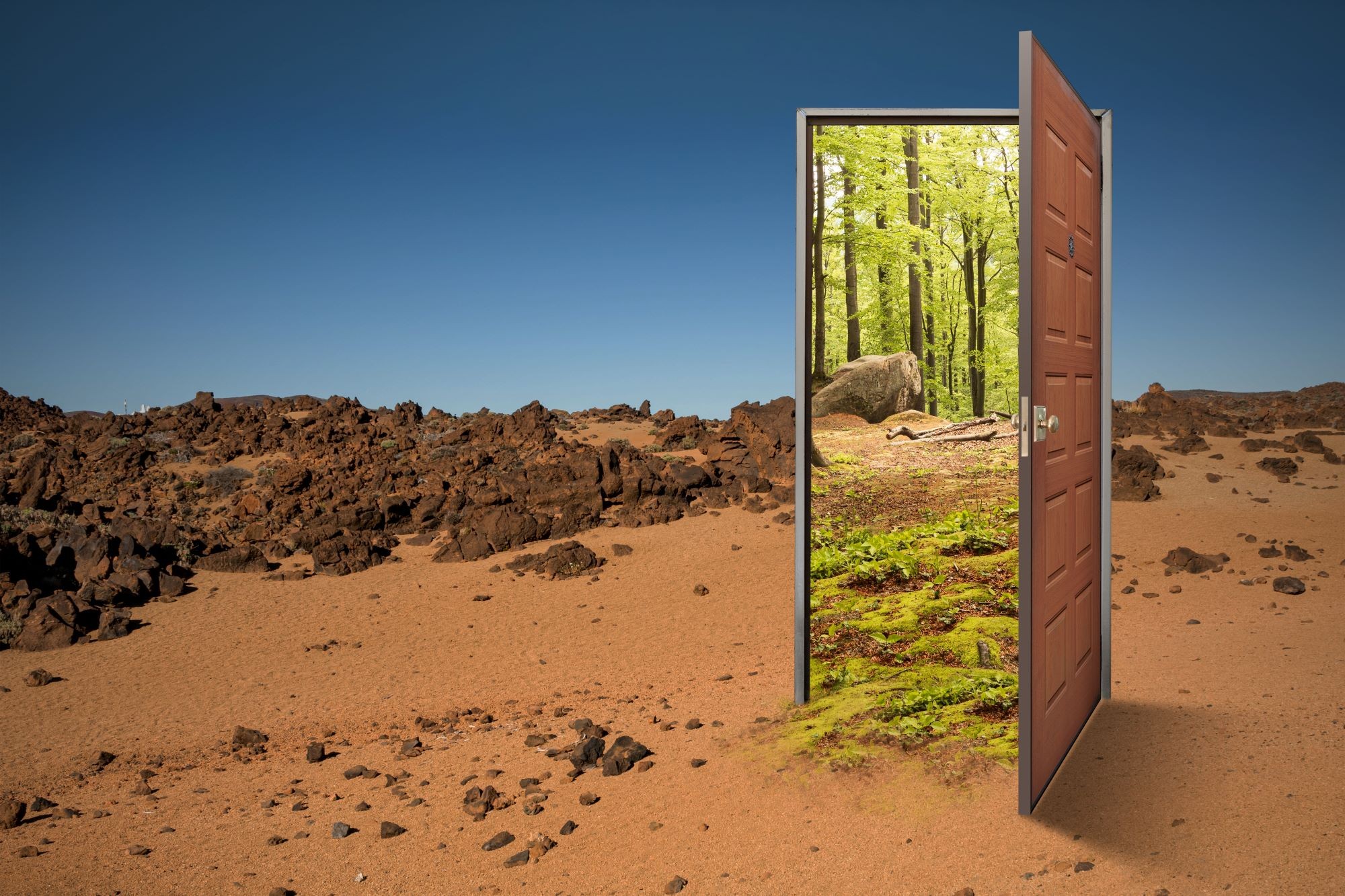 Skills That Open Doors